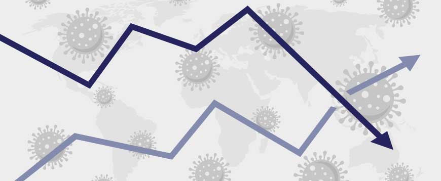 Coronavirus Survival Guide